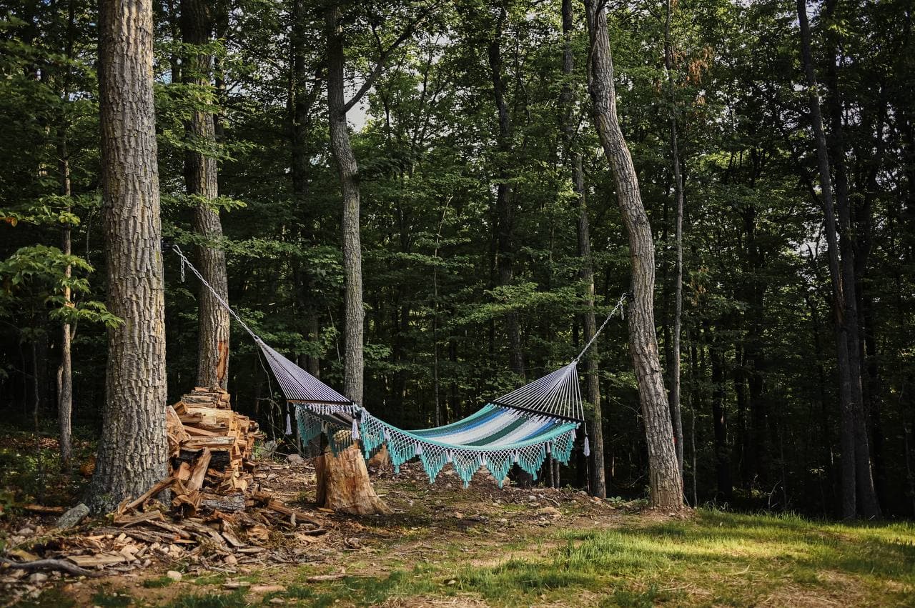 Hammock in the woods